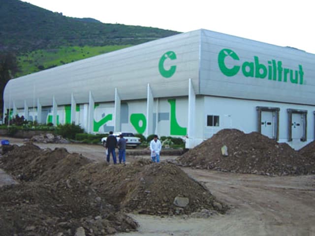 Cabilfrut