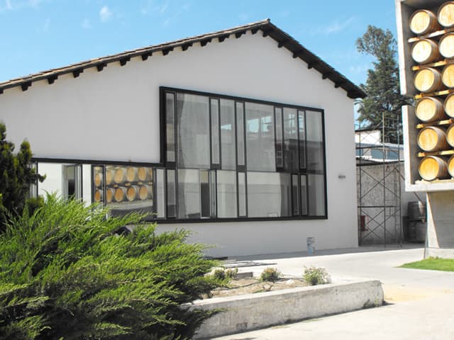 Viña Undurraga
